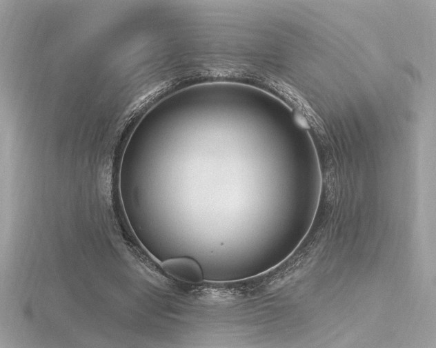 X0000116570442200912101514