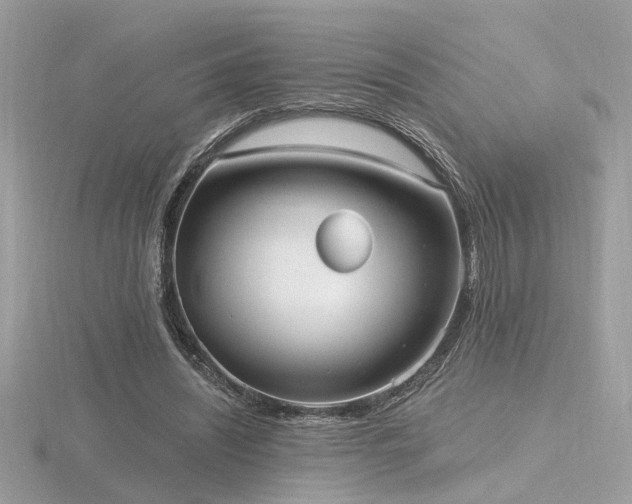 X0000116570444200912101514