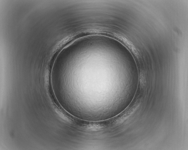 X0000116570445200912101514