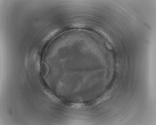 X0000116570446200912101514