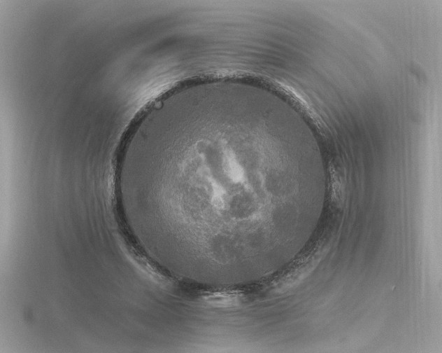 X0000116570447200912101514