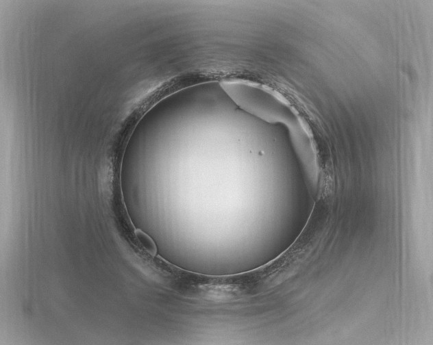 X0000116570448200912101514