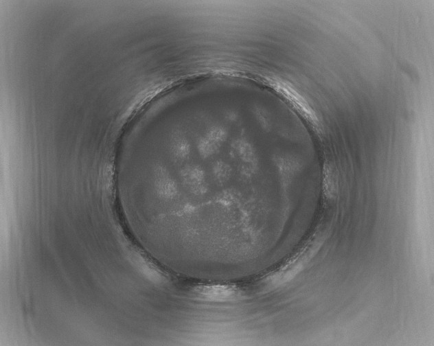 X0000116570449200912101514