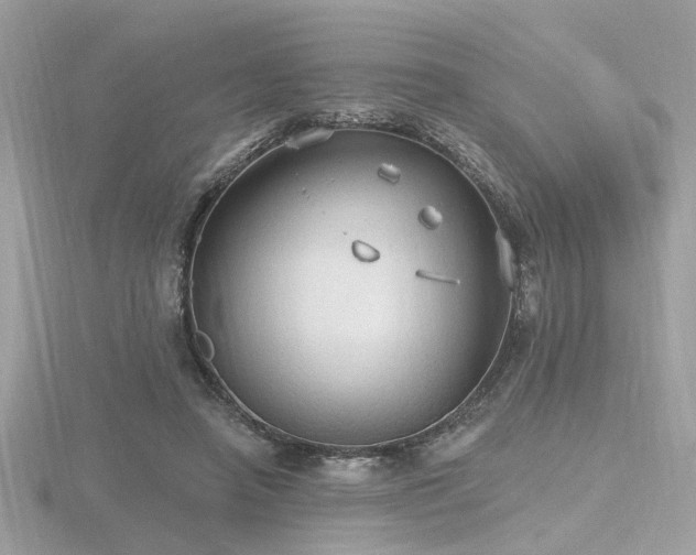 X0000116570450200912101514