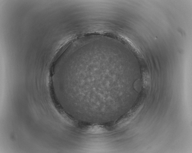 X0000116570451200912101514