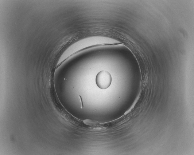 X0000116570452200912101514