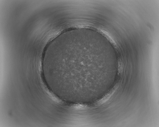 X0000116570453200912101514