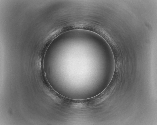 X0000116570454200912101514