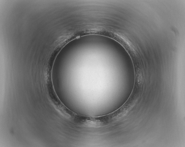 X0000116570455200912101514