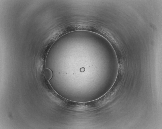 X0000116570458200912101514