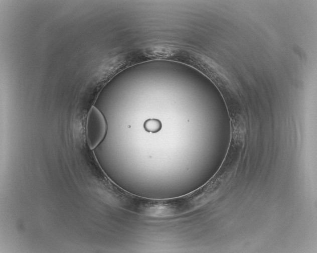 X0000116570460200912101514