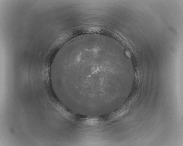 X0000116570462200912101514