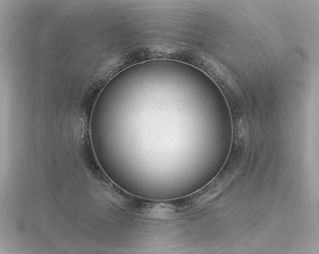 X0000116570463200912101514