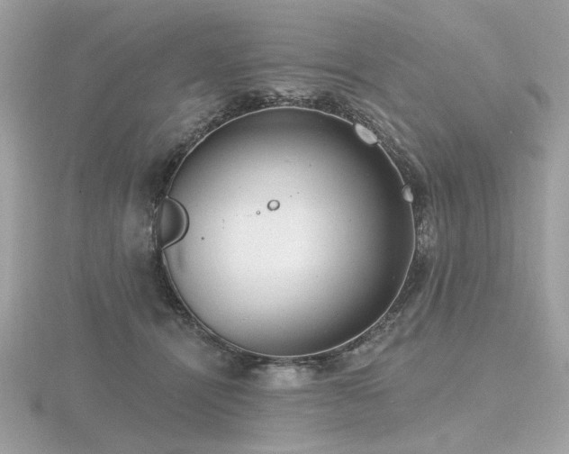 X0000116570464200912101514