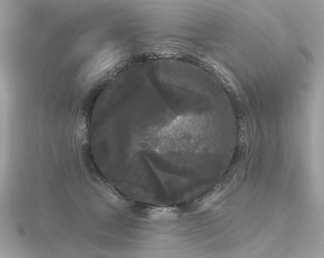 X0000116570465200912101514