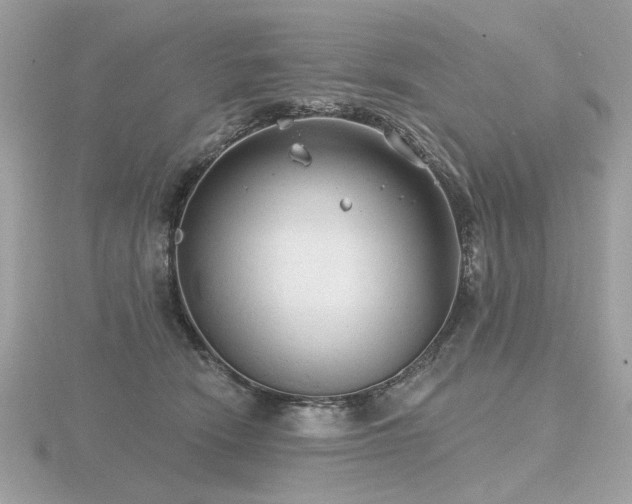 X0000116570466200912101514