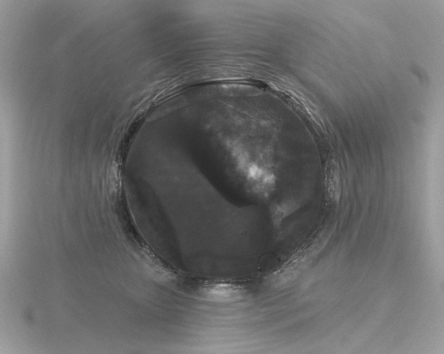 X0000116570467200912101514