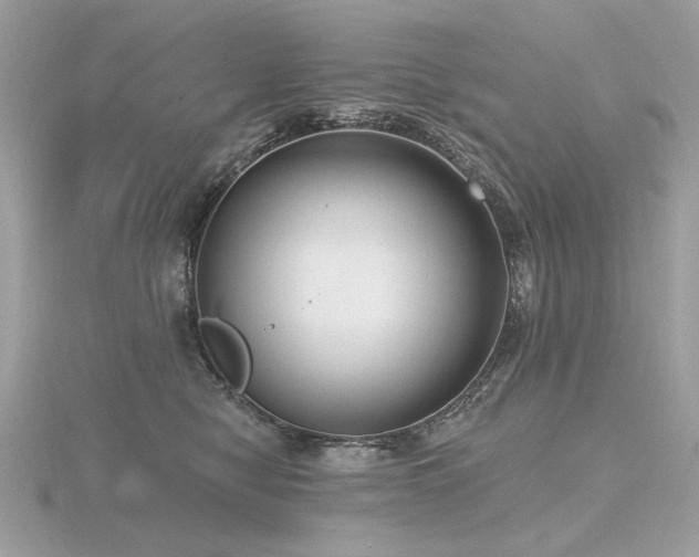 X0000116570470200912101514