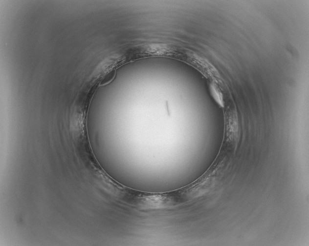 X0000116570473200912101514