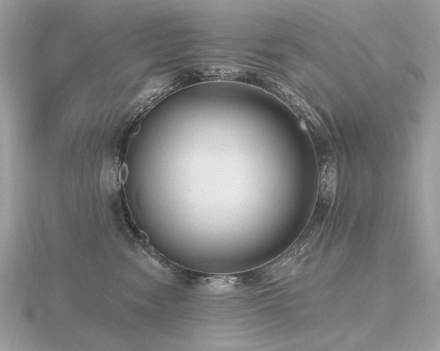 X0000116570474200912101514