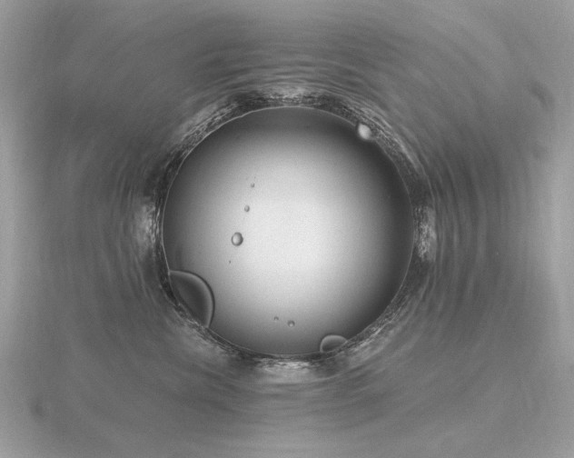 X0000116570476200912101514