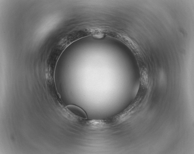 X0000116570477200912101514