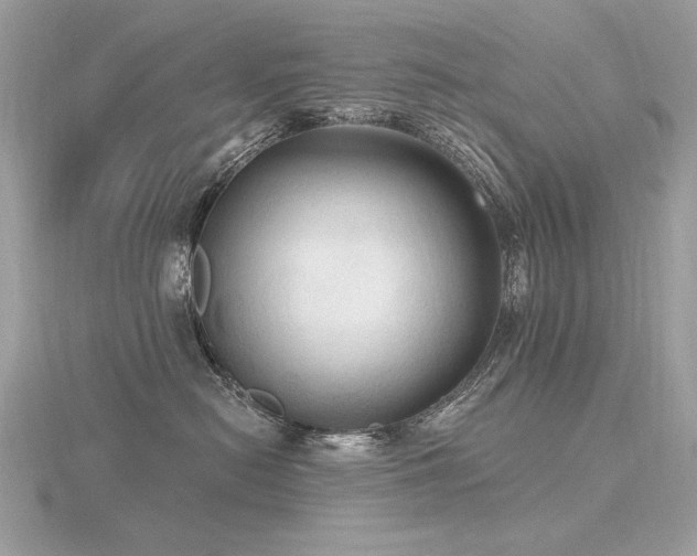 X0000116570478200912101514