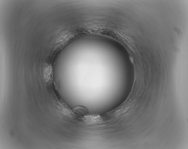 X0000116570480200912101514