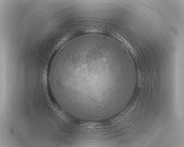 X0000116570482200912101514