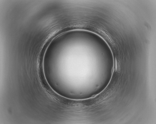 X0000116570483200912101514