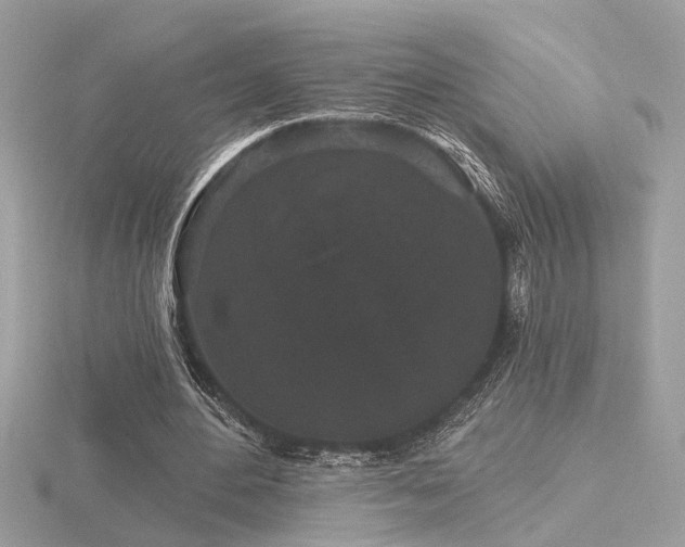 X0000116570484200912101514