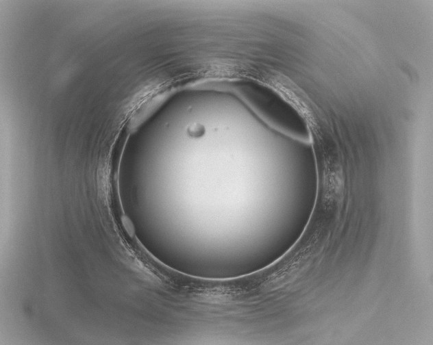 X0000116570485200912101514