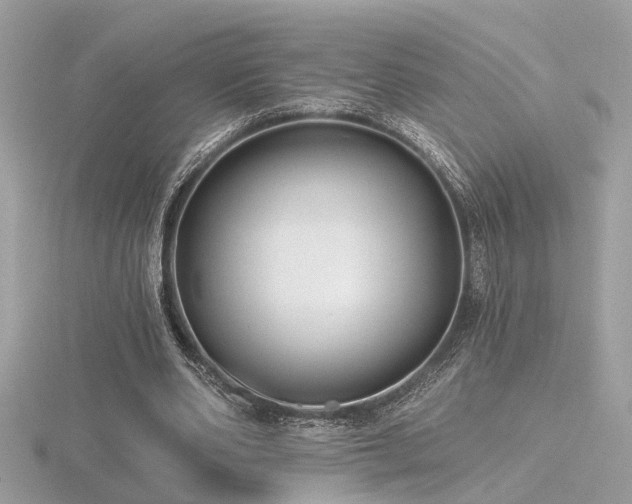 X0000116570486200912101513