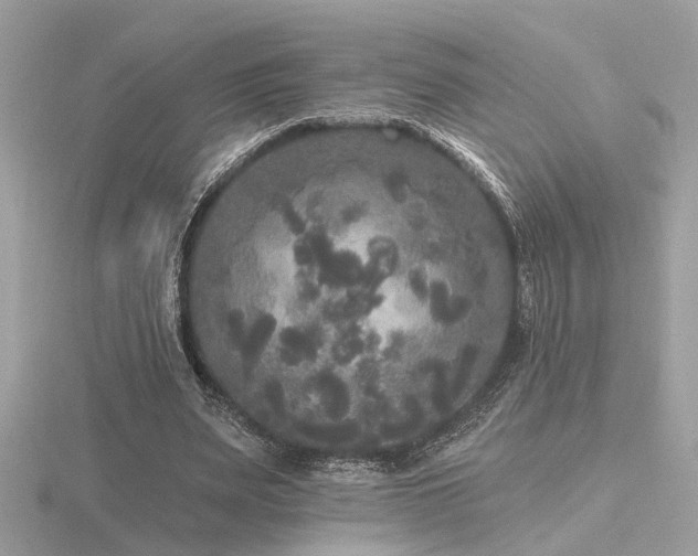 X0000116570487200912101513