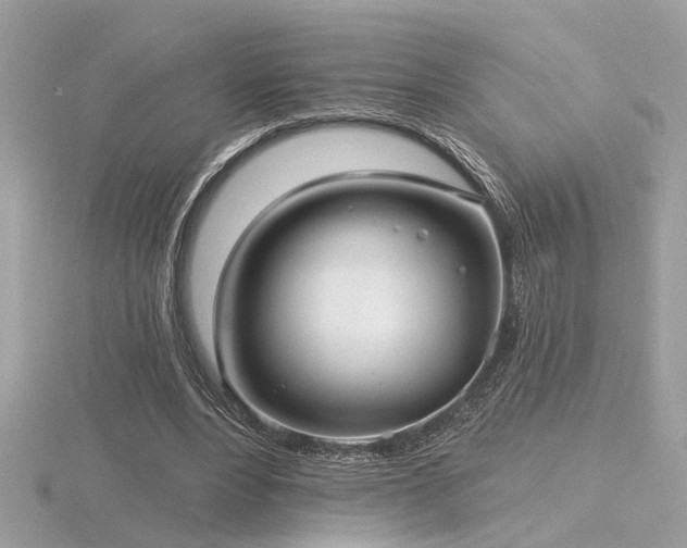 X0000116570488200912101513