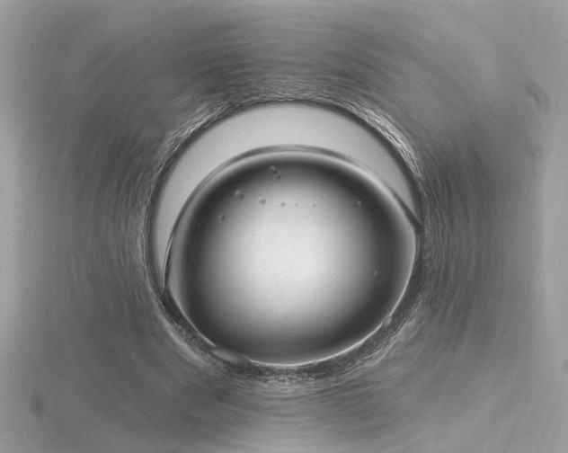 X0000116570489200912101513