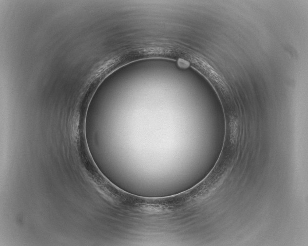 X0000116570490200912101513