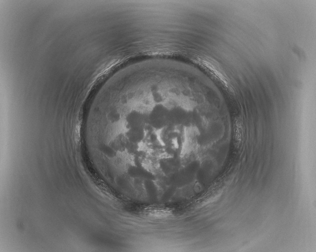 X0000116570491200912101513