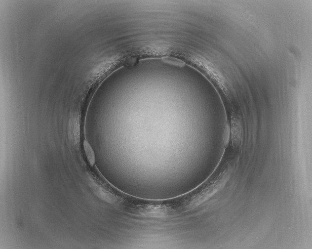 X0000116570493200912101513