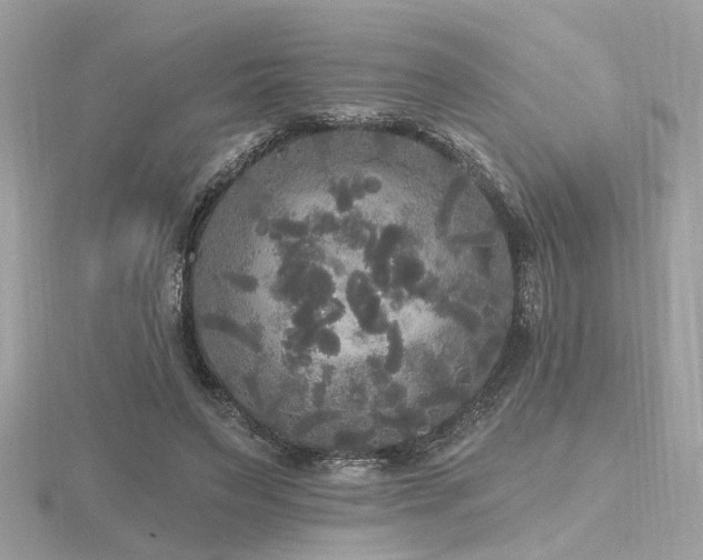 X0000116570495200912101513