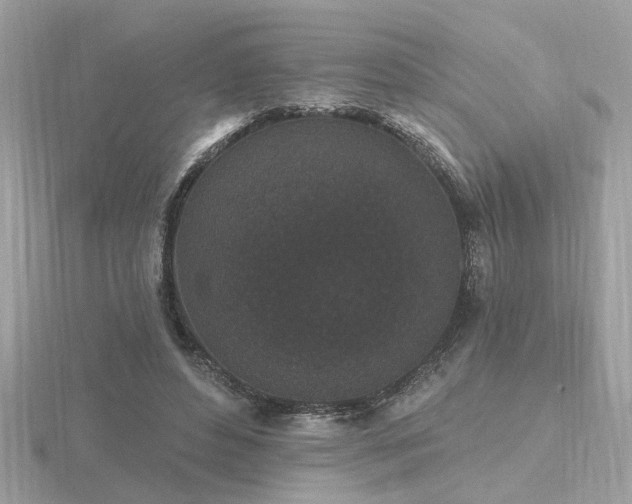 X0000116570496200912101513