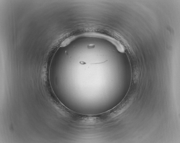 X0000116570497200912101513