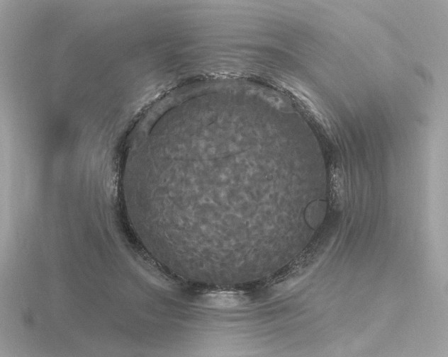 X0000116570499200912101513