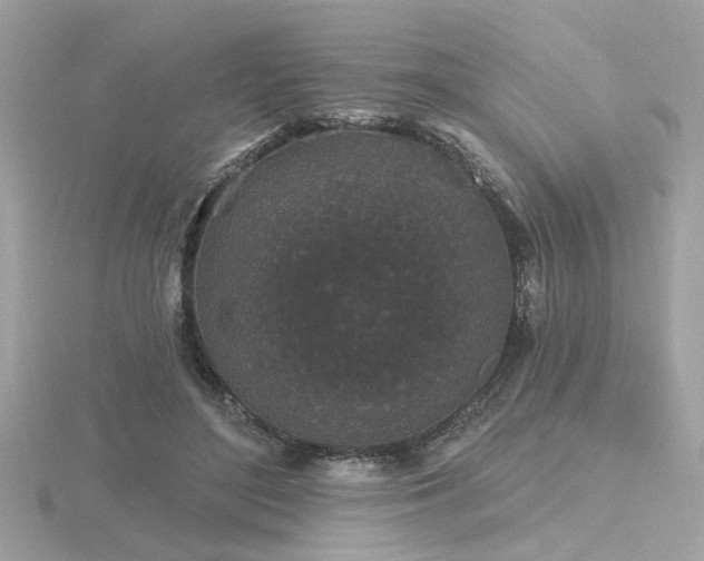 X0000116570500200912101513