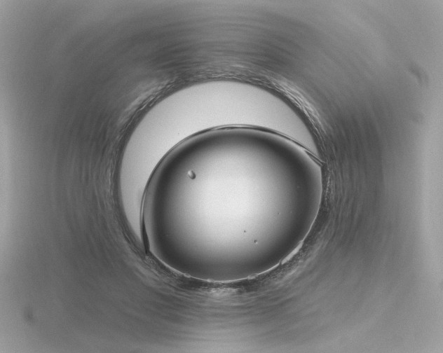 X0000116570501200912101513