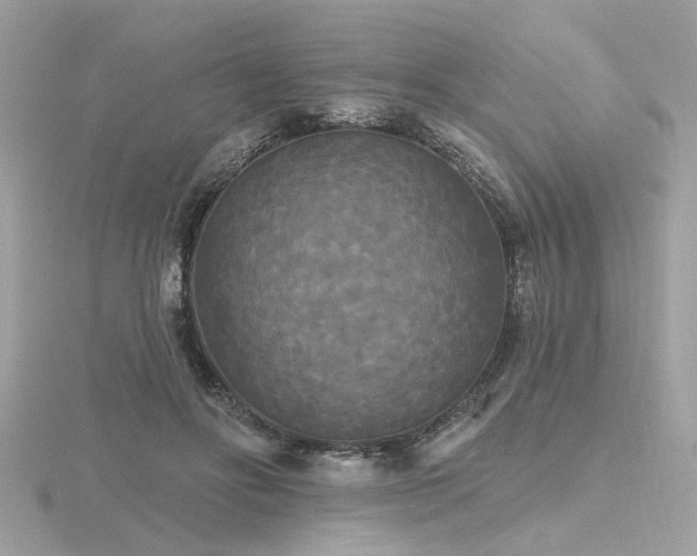 X0000116570502200912101513