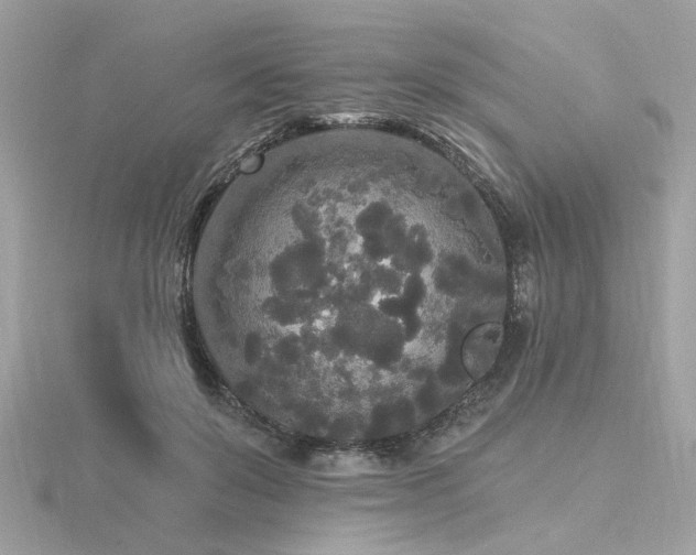 X0000116570503200912101513