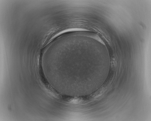 X0000116570504200912101513