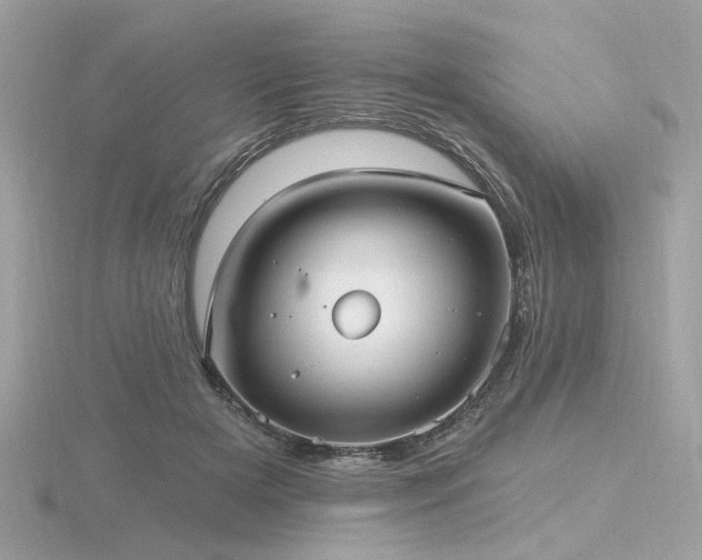 X0000116570505200912101513