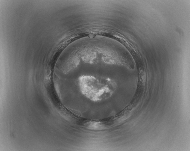 X0000116570507200912101513